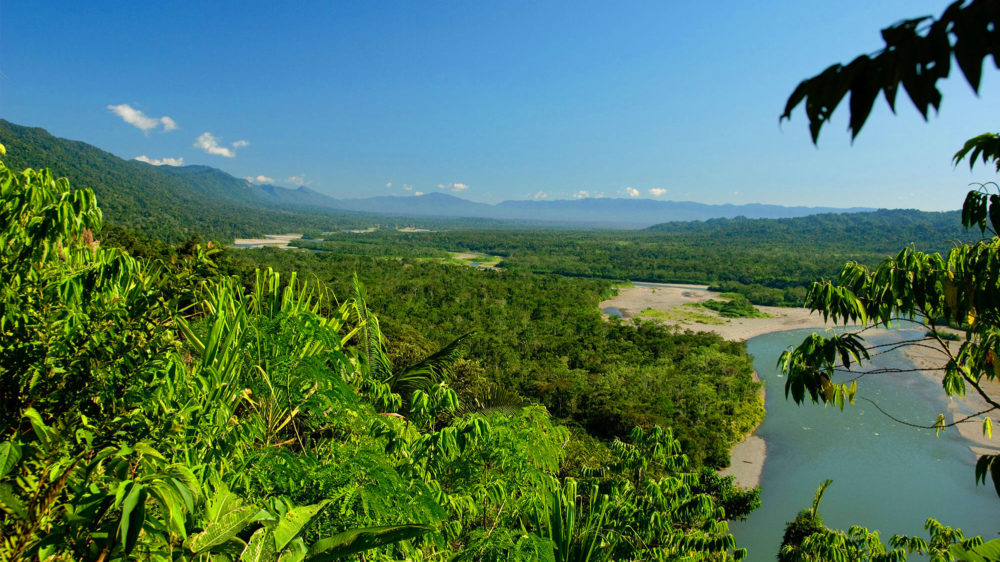 Aniversario De La Reserva Cordillera Escalera