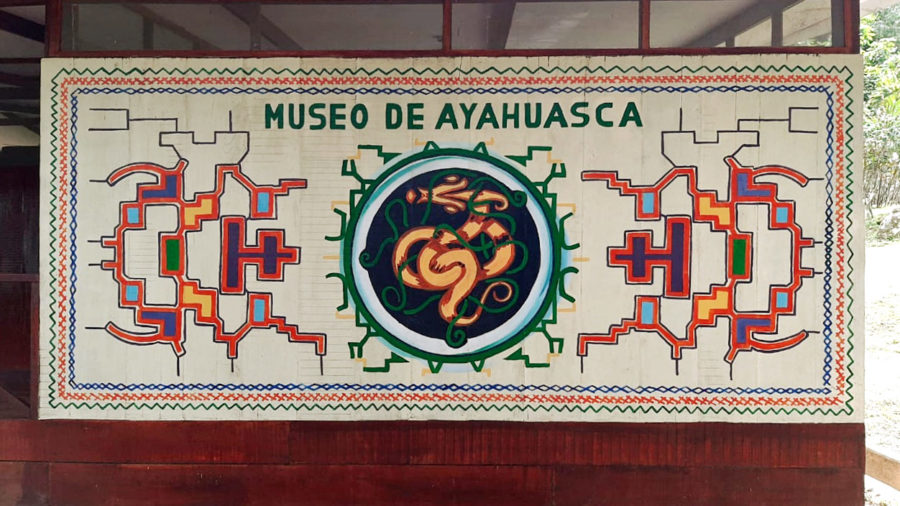 Museo de Ayahuasca va a ser!