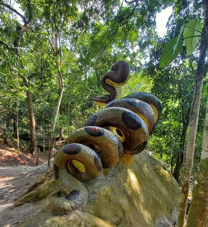 Anaconda on «Chakruna»